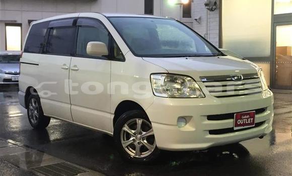 Buy Used Toyota Noah Other Car in Fua'amotu in Tongatapu Buy Used Toyota Noah Other Car in Fua'amotu in Tongatapu
