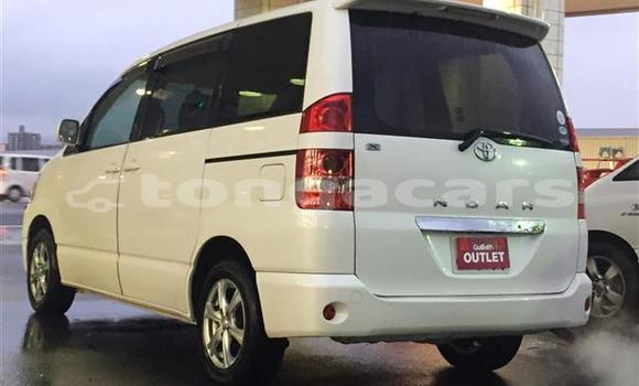 Buy Used Toyota Noah Other Car in Fua'amotu in Tongatapu Buy Used Toyota Noah Other Car in Fua'amotu in Tongatapu