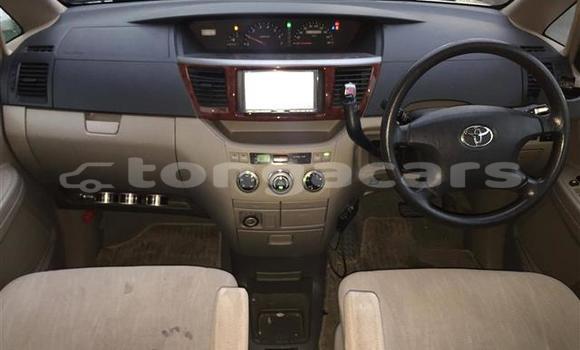 Buy Used Toyota Noah Other Car in Fua'amotu in Tongatapu Buy Used Toyota Noah Other Car in Fua'amotu in Tongatapu