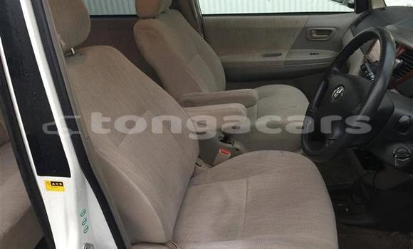 Buy Used Toyota Noah Other Car in Fua'amotu in Tongatapu Buy Used Toyota Noah Other Car in Fua'amotu in Tongatapu