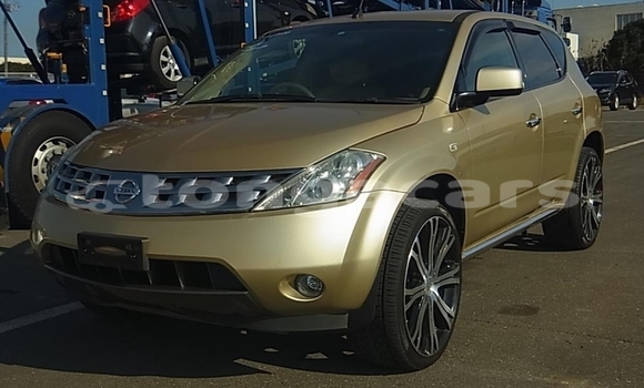 Medium with watermark pnz50 000036 01